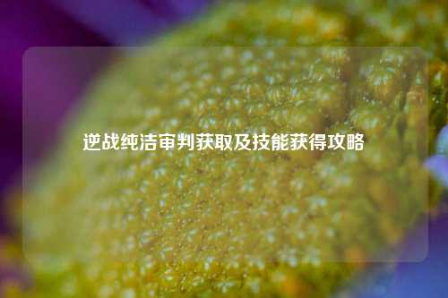 逆战纯洁审判获取及技能获得攻略