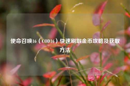 使命召唤16（COD16）快速刷取金币攻略及获取方法