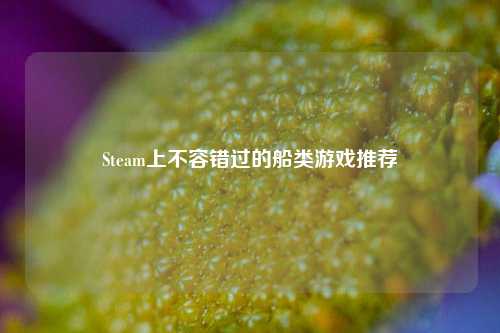Steam上不容错过的船类游戏推荐