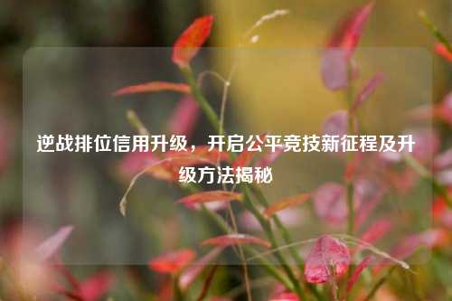 逆战排位信用升级,开启公平竞技新征程及升级方法揭秘