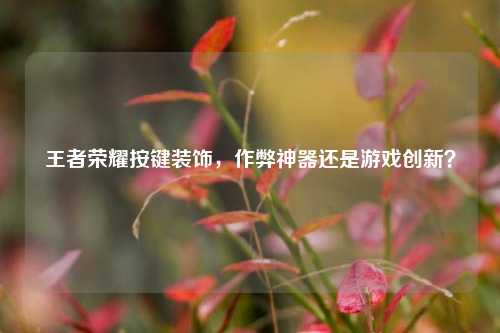 王者荣耀按键装饰，作弊神器还是游戏创新？