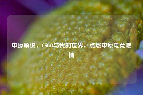 中原解说,CSGO与我的世界,点燃中原电竞激情