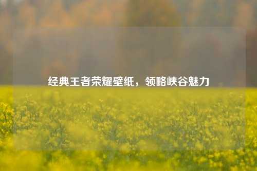 经典王者荣耀壁纸,领略峡谷魅力