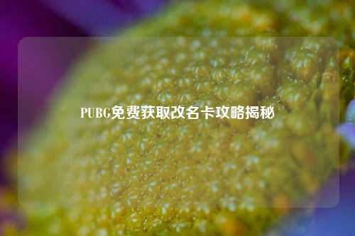 PUBG免费获取改名卡攻略揭秘