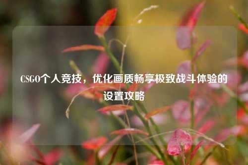 CSGO个人竞技,优化画质畅享极致战斗体验的设置攻略