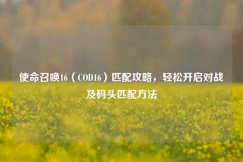 使命召唤16（COD16）匹配攻略，轻松开启对战及码头匹配方法