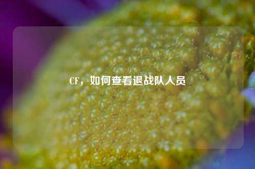 CF,如何查看退战队人员