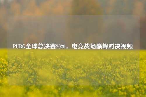 PUBG全球总决赛2020，电竞战场巅峰对决视频