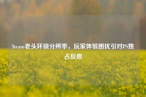 Steam老头环锁分辨率,玩家体验困扰引对PS独占反思