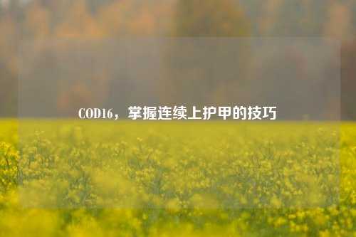 COD16，掌握连续上护甲的技巧