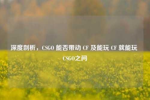 深度剖析,CSGO 能否带动 CF 及能玩 CF 就能玩 CSGO之问