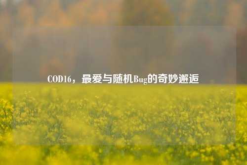 COD16,最爱与随机Bug的奇妙邂逅