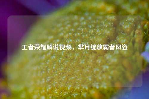 王者荣耀解说视频，芈月绽放霸者风姿