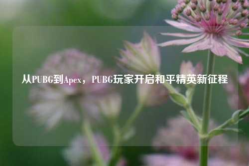 从PUBG到Apex,PUBG玩家开启和平精英新征程