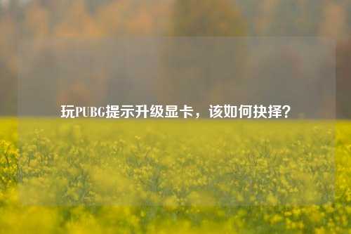 玩PUBG提示升级显卡，该如何抉择？