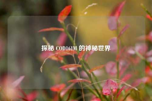 探秘 COD161M 的神秘世界