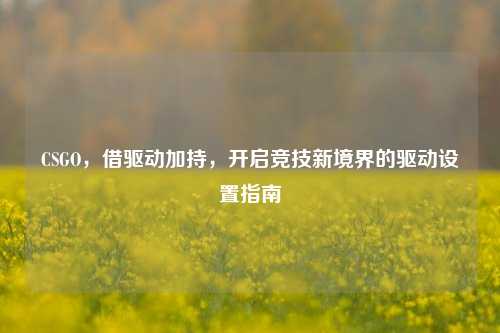 CSGO,借驱动加持,开启竞技新境界的驱动设置指南