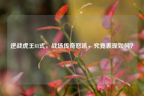 逆战虎王81式,战场传奇怒吼,究竟表现如何?