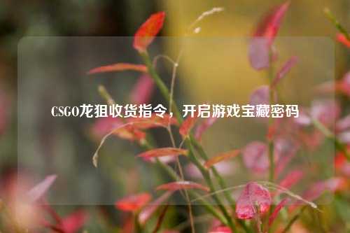 CSGO龙狙收货指令,开启游戏宝藏密码