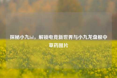 探秘小九lol，解锁电竞新世界与小九龙盘根中草药图片