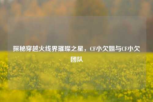 探秘穿越火线界璀璨之星,CF小欠姐与CF小欠团队