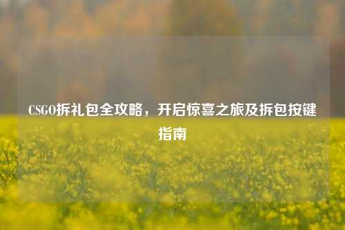 CSGO拆礼包全攻略,开启惊喜之旅及拆包按键指南