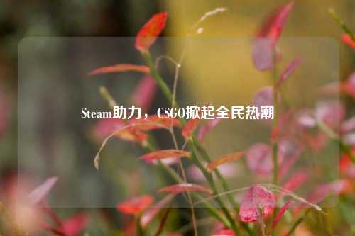 Steam助力,CSGO掀起全民热潮
