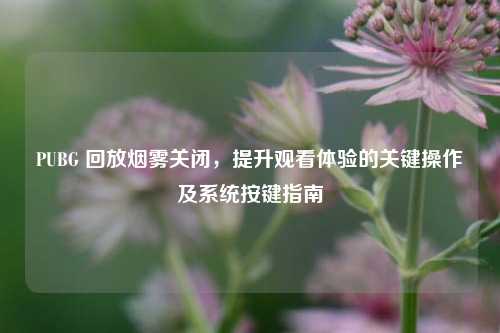 PUBG 回放烟雾关闭,提升观看体验的关键操作及系统按键指南
