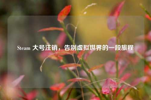 Steam 大号注销,告别虚拟世界的一段旅程