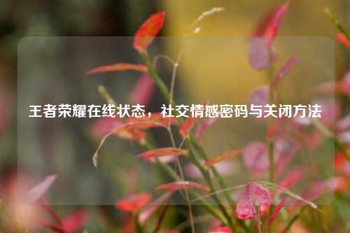 王者荣耀在线状态,社交情感密码与关闭方法