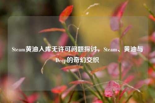Steam黄油入库无许可问题探讨,Steam、黄油与Deep的奇幻交织