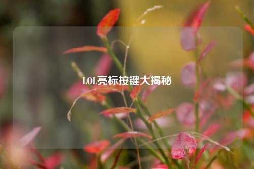 LOL亮标按键大揭秘
