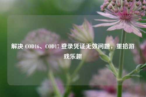 解决 COD16、COD17 登录凭证无效问题,重拾游戏乐趣