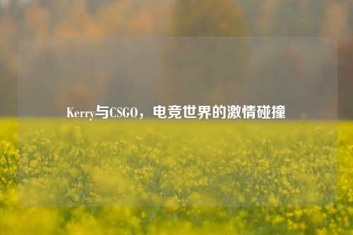 Kerry与CSGO,电竞世界的激情碰撞