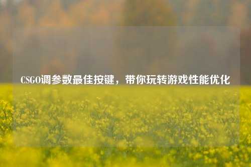 CSGO调参数最佳按键,带你玩转游戏性能优化