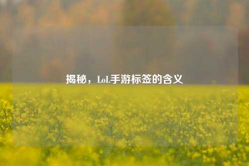 揭秘，LoL手游标签的含义