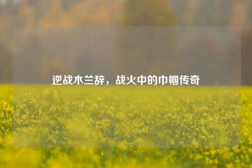 逆战木兰辞，战火中的巾帼传奇