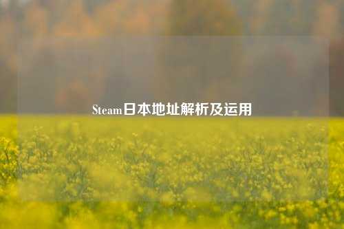 Steam日本地址解析及运用