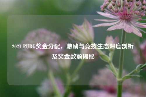 2021 PUBG奖金分配,激励与竞技生态深度剖析及奖金数额揭秘