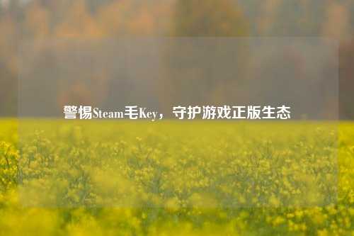 警惕Steam毛Key,守护游戏正版生态