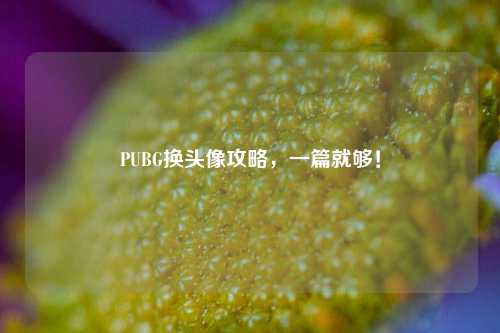 PUBG换头像攻略,一篇就够!