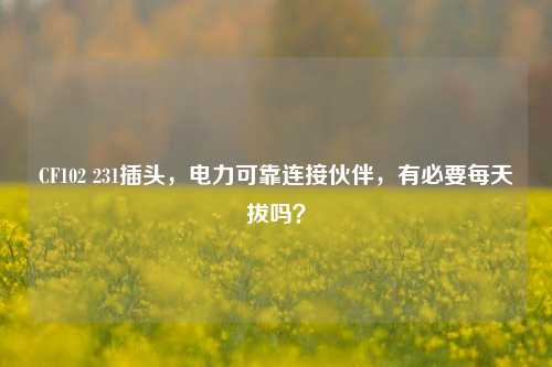 CF102 231插头,电力可靠连接伙伴,有必要每天拔吗?
