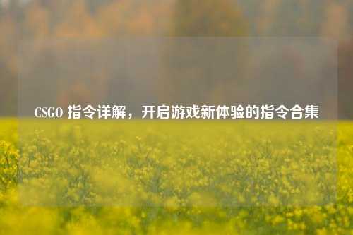 CSGO 指令详解,开启游戏新体验的指令合集