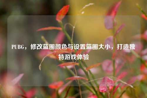 PUBG,修改蓝圈颜色与设置蓝圈大小,打造独特游戏体验