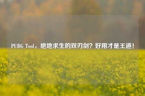 PUBG Tool,绝地求生的双刃剑?好用才是王道!