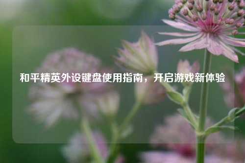 和平精英外设键盘使用指南,开启游戏新体验