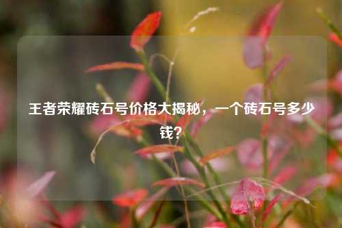 王者荣耀砖石号价格大揭秘,一个砖石号多少钱?