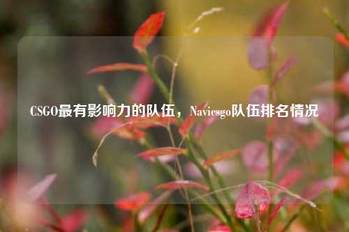 CSGO最有影响力的队伍,Navicsgo队伍排名情况