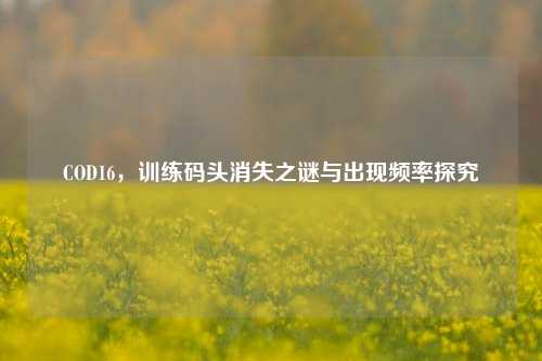 COD16,训练码头消失之谜与出现频率探究