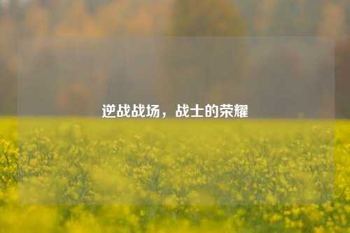 逆战战场，战士的荣耀